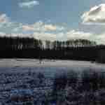 Wola Rowska Fot. Anna M.